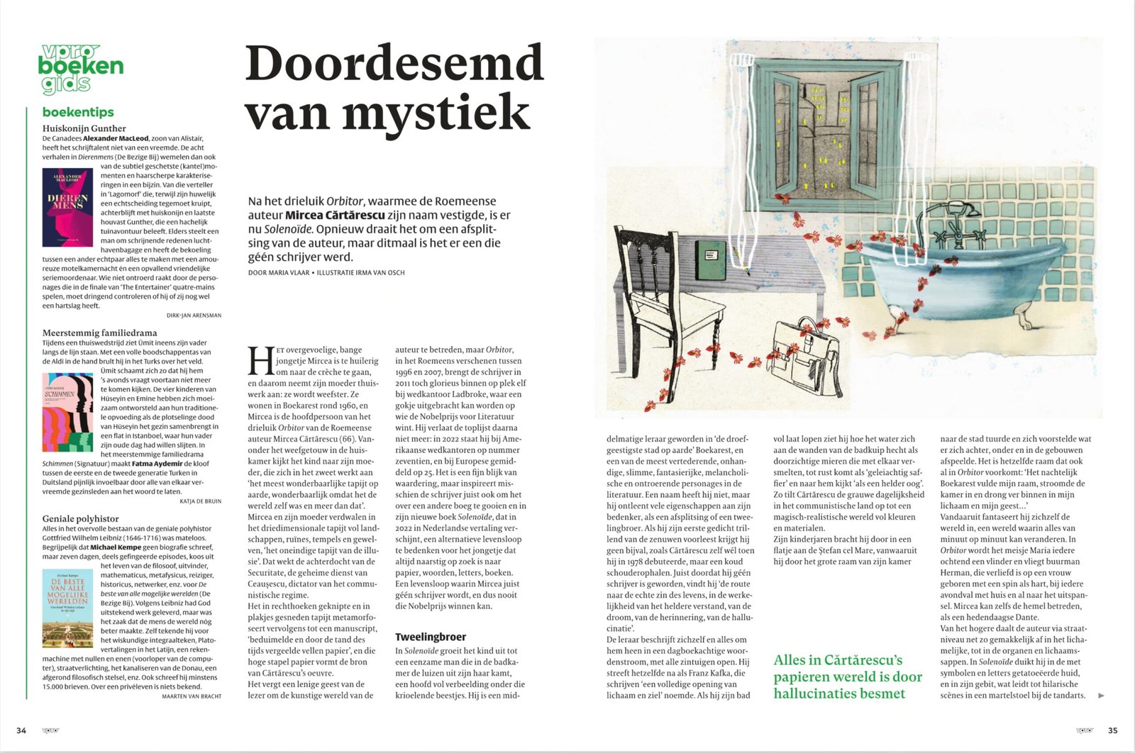 illustratie vprogids - Solenoïde - Mircea Cartarescu - Doordesemd van mystiek - illustratie Irma van Osch - boeken en poezie illustratie vprogids - Solenoïde - Mircea Cartarescu - Doordesemd van mystiek - illustratie Irma van Osch - boeken en poezie